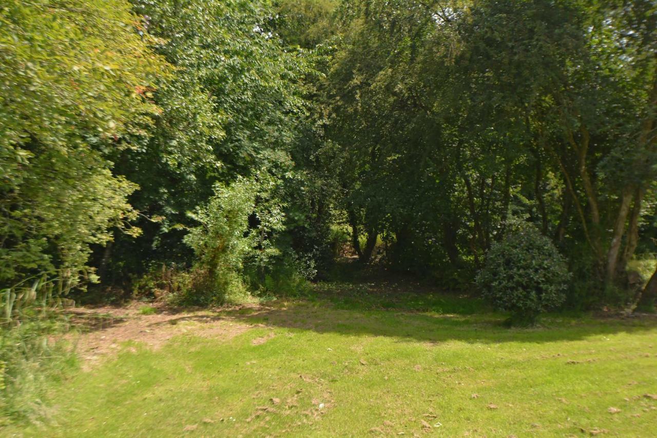 Woodland Cottage South Molton Exterior foto